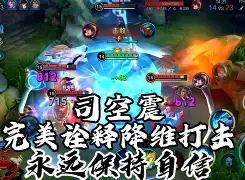 包含jiuyou.com:王者荣耀电子竞技蓝皮书发布，赛事数据全面解析的词条