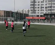九游欢乐官方网站:中国足球协会：发布青少年足球发展规划，为中国足球未来发展奠定基础的简单介绍