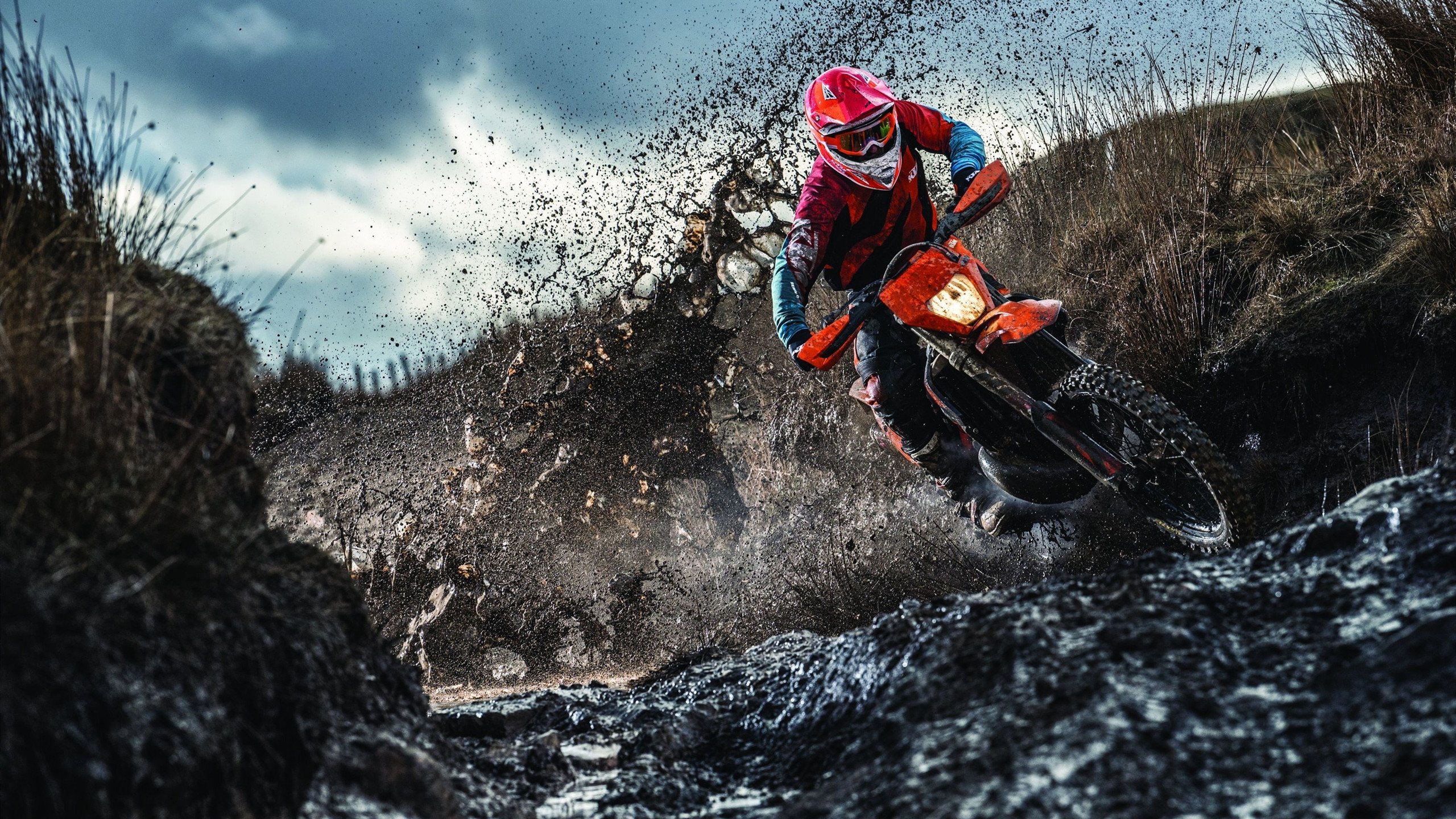 电竞战队的运营管理:人才培养与资源整合,电竞战队都有什么职位