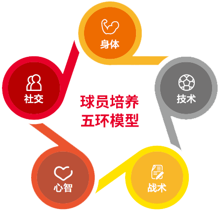 九游欢乐首站:德甲的青年培养：如何构建成功的青训系统的简单介绍