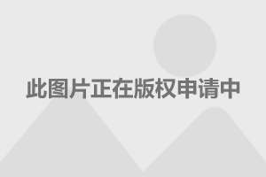 包含九游娱乐:运动社交应用的兴起，如何提升运动乐趣？的词条